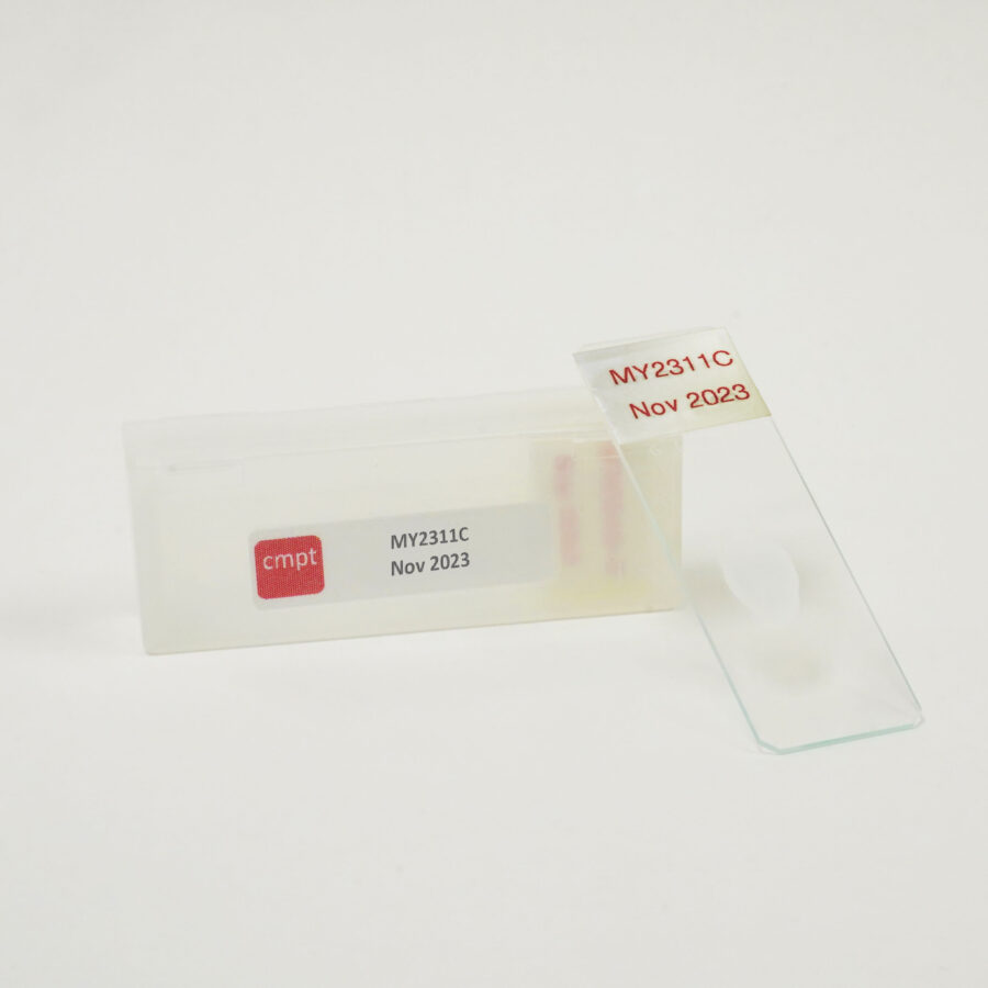 Fungal Slides | cmpt